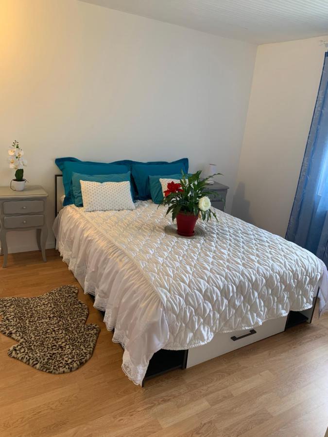Belle Maison Avec Jardin Rdc T3 De 70M2 Vacances Ou Cure Thermale Rochefort エクステリア 写真